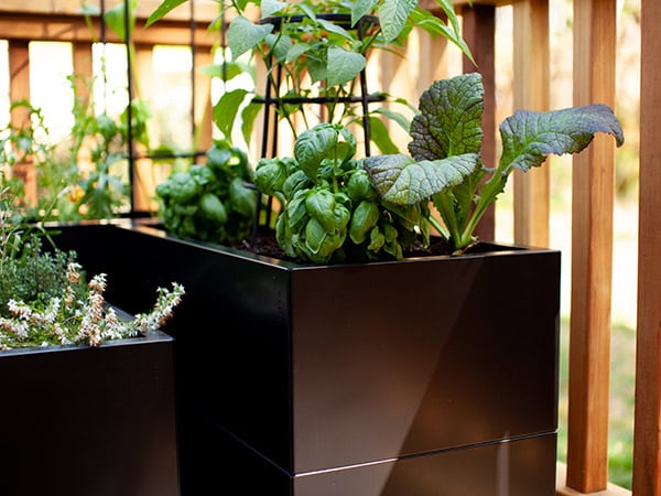 Fioriere-e-vasi-su-misura-carpi